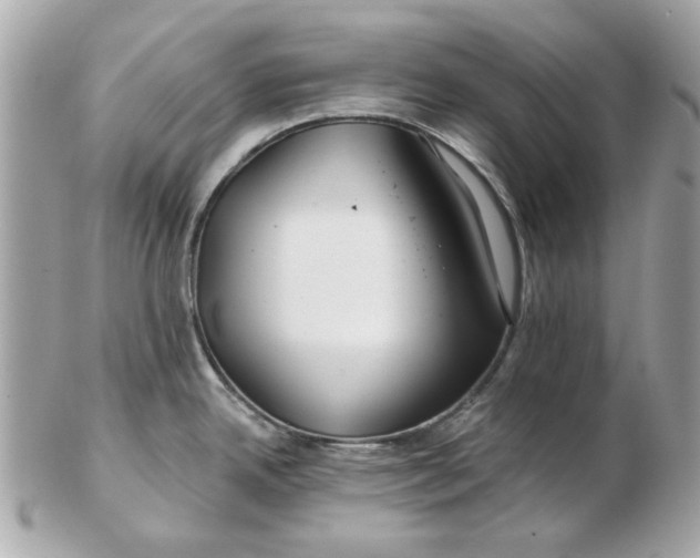 X0000102491342200808291641