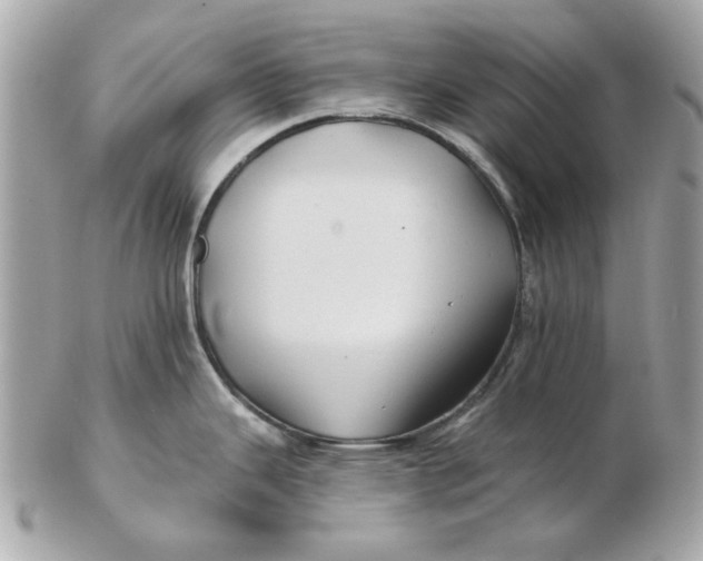 X0000102491343200808291641