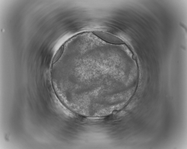 X0000102491344200808291641