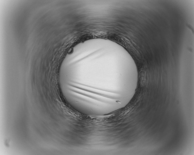 X0000102491345200808291640