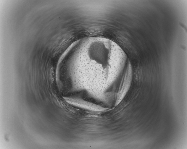 X0000102491346200808291640