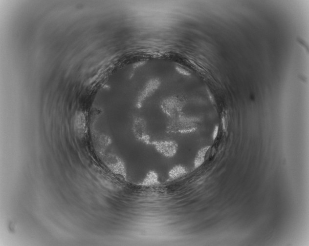 X0000102491347200808291640