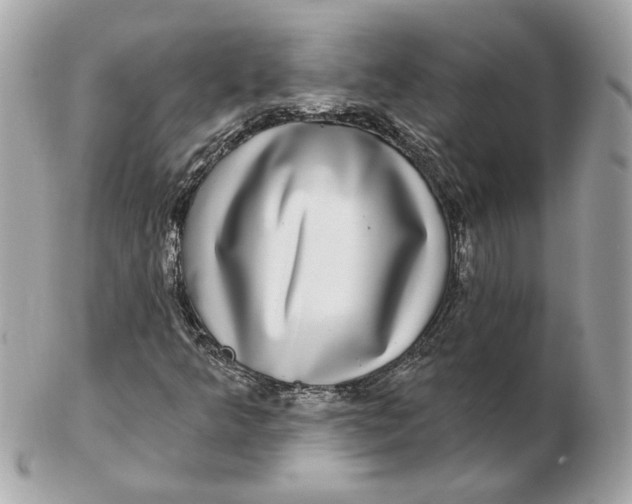 X0000102491349200808291640