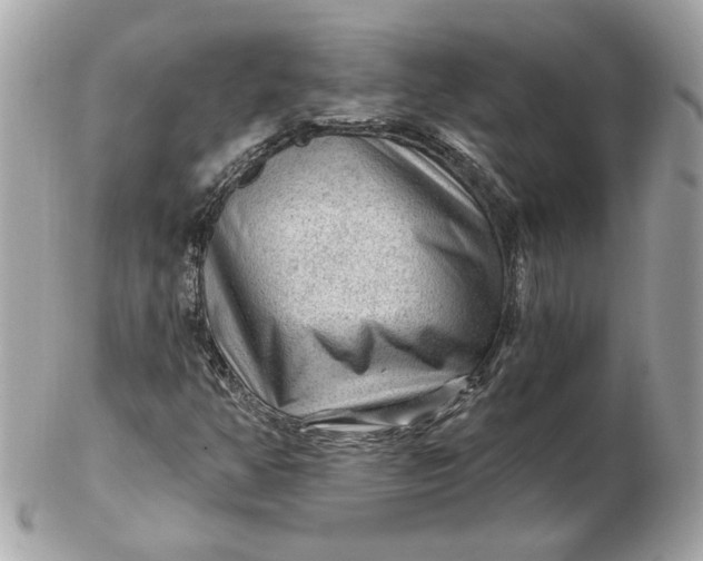 X0000102491350200808291640