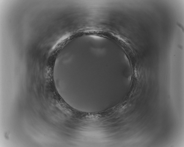 X0000102491351200808291640