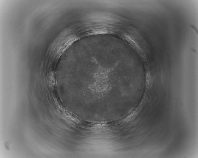 X0000102491353200808291640