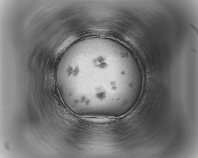 X0000102491354200808291640