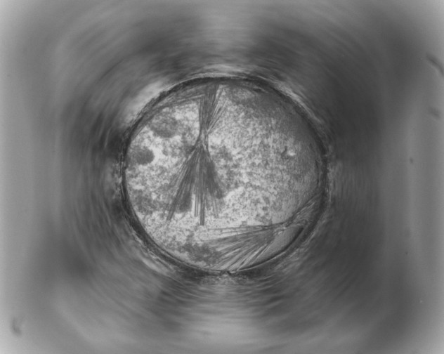 X0000102491355200808291640