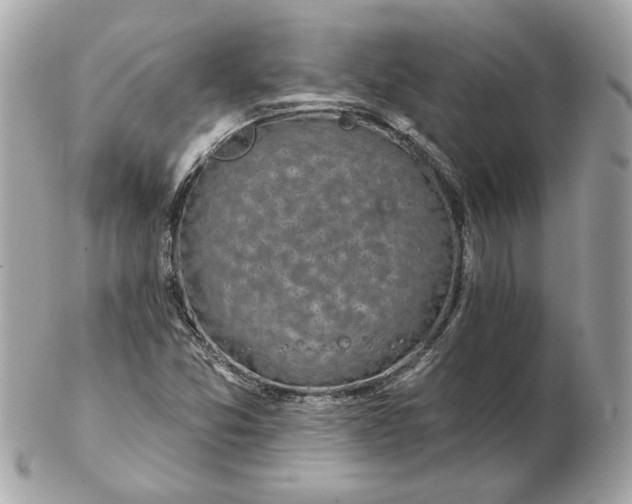 X0000102491357200808291640