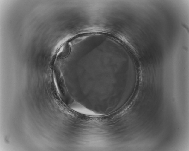 X0000102491358200808291640