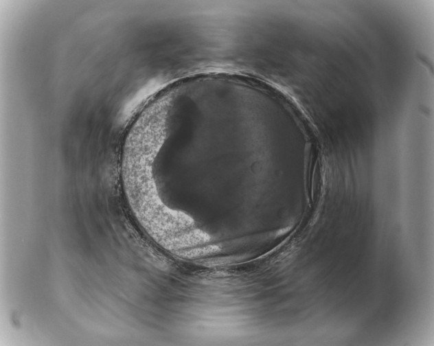 X0000102491359200808291640