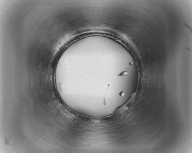 X0000102491360200808291640