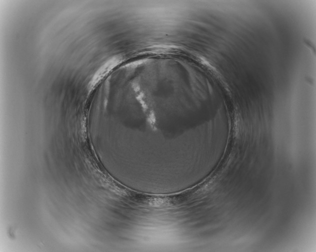 X0000102491362200808291640