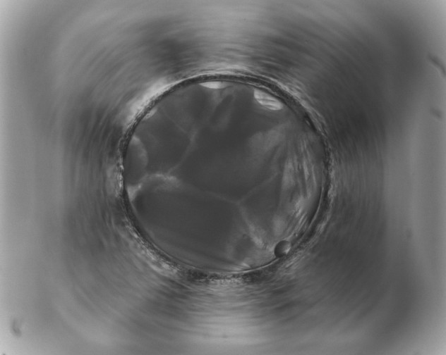 X0000102491363200808291640