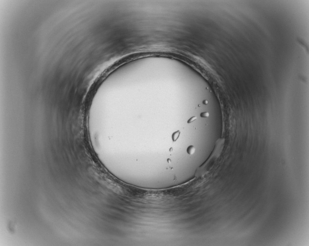 X0000102491364200808291640