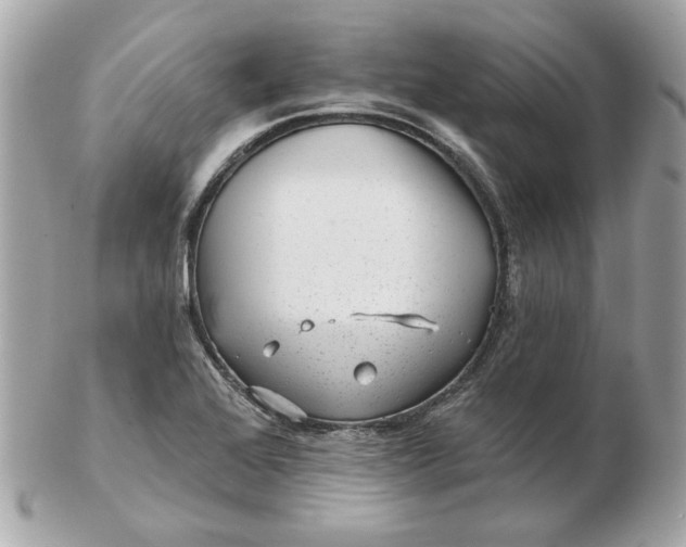 X0000102491368200808291640