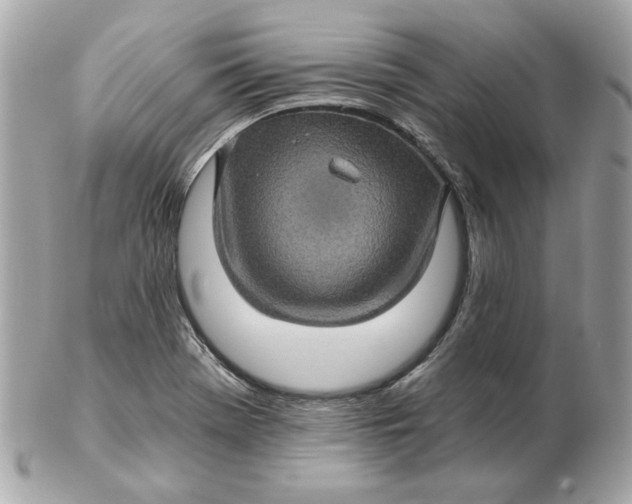 X0000102491369200808291640