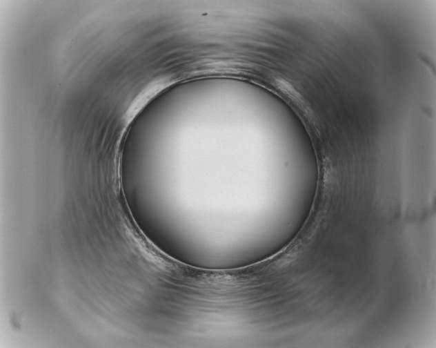 X0000102491370200808291640