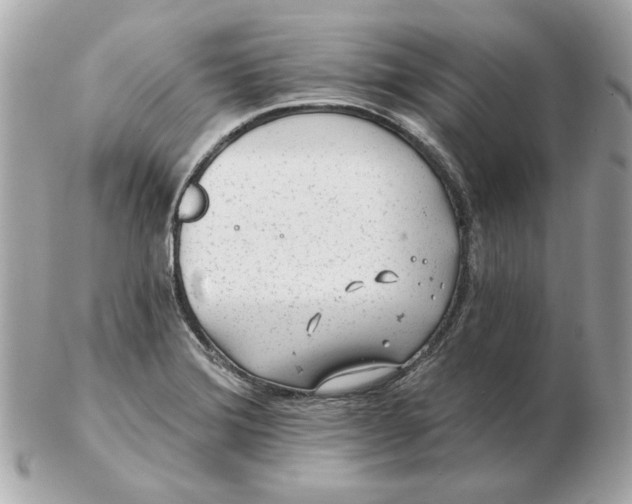 X0000102491372200808291640