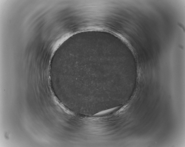 X0000102491373200808291640