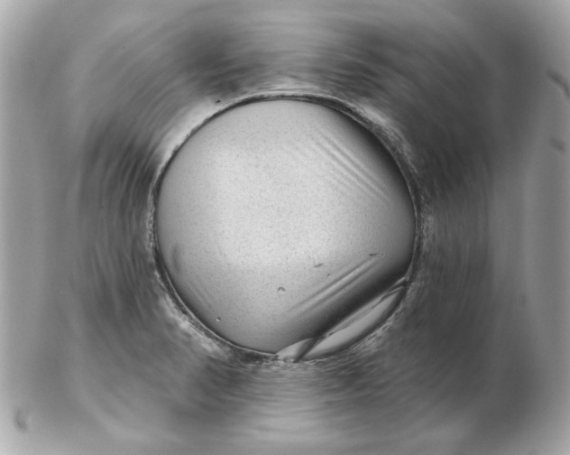 X0000102491374200808291640