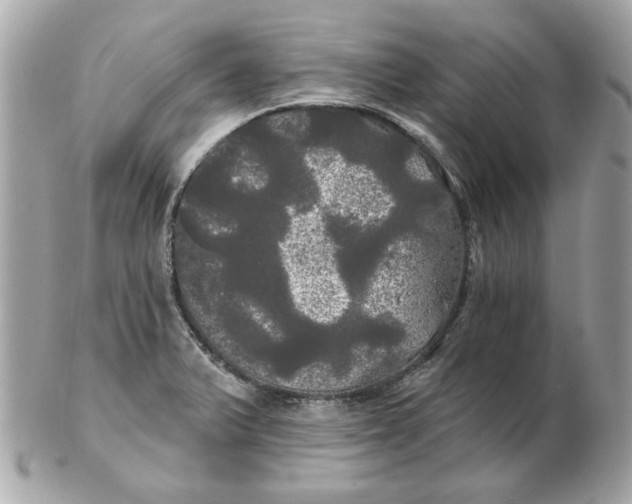 X0000102491375200808291640