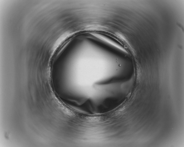 X0000102491376200808291639