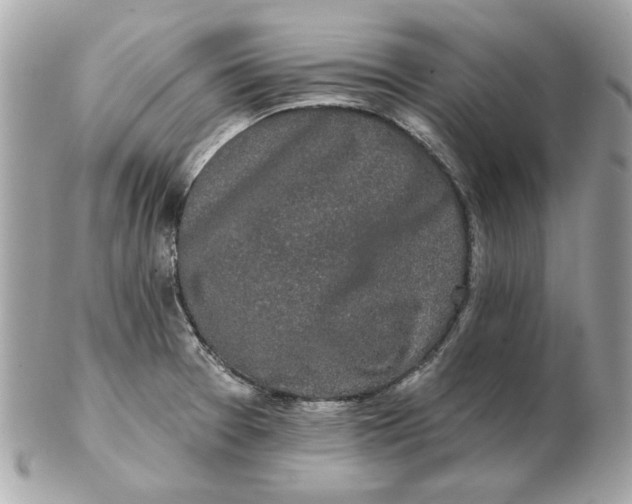 X0000102491377200808291639