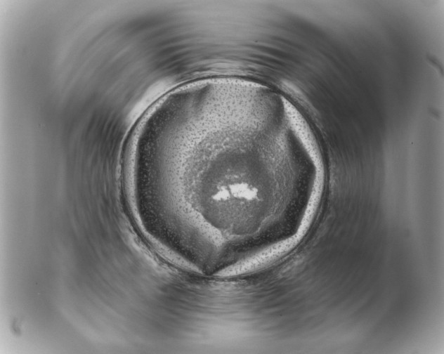 X0000102491378200808291639