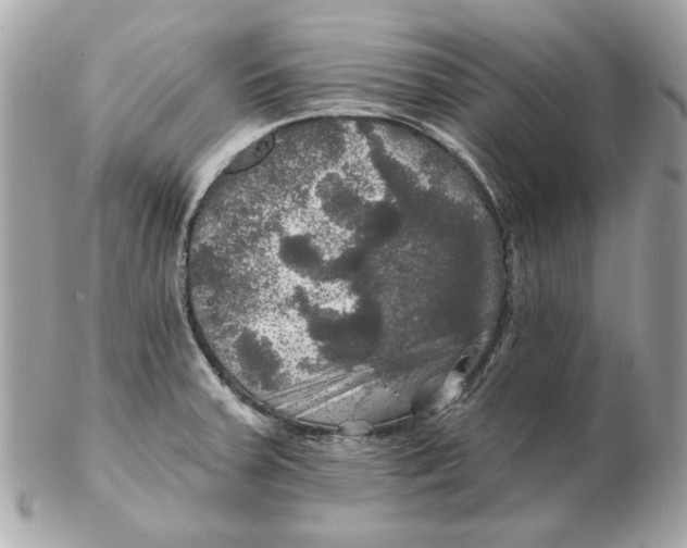 X0000102491379200808291639