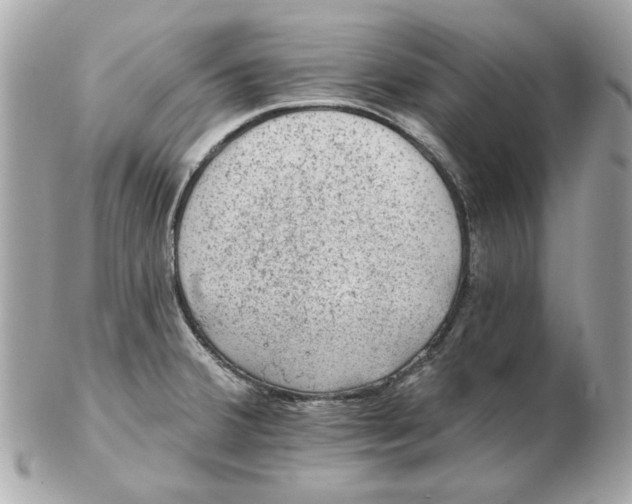 X0000102491380200808291639