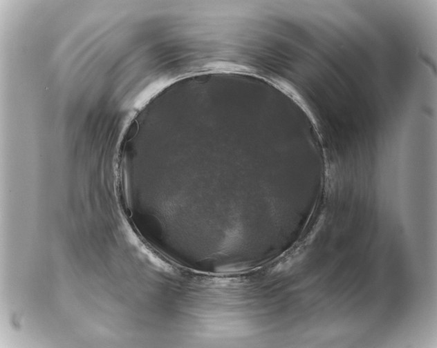 X0000102491381200808291639