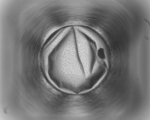 X0000102491382200808291639