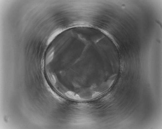 X0000102491383200808291639