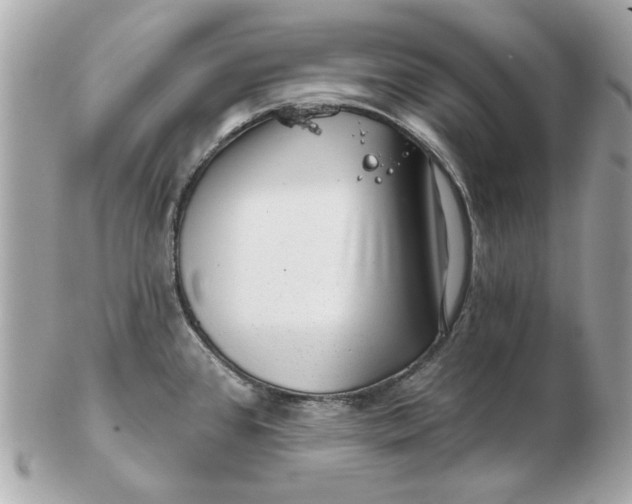 X0000102491384200808291639