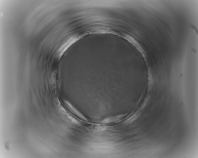 X0000102491385200808291639