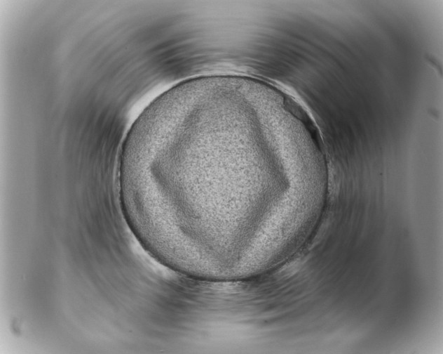 X0000102491387200808291639