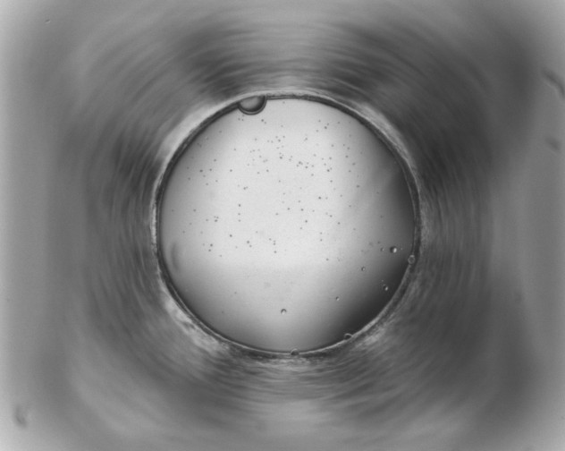 X0000102491388200808291639