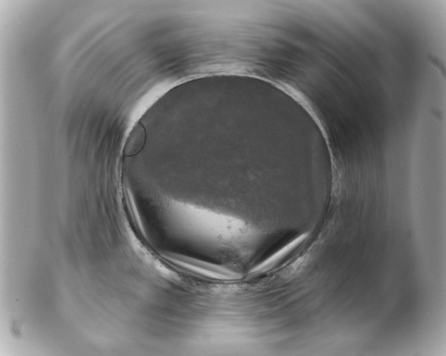 X0000102491389200808291639