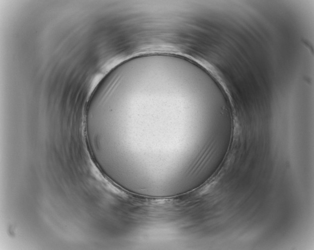 X0000102491390200808291639