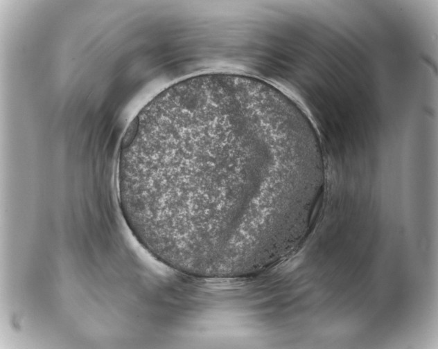 X0000102491391200808291639