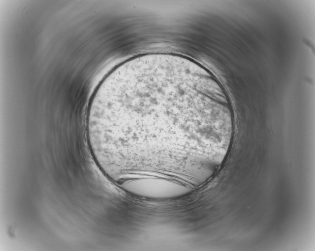 X0000102491392200808291639