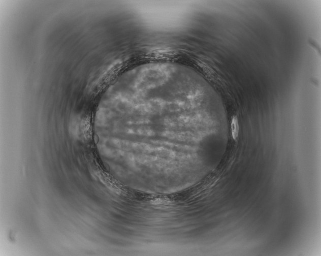 X0000102491395200808291639