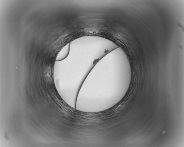 X0000102491396200808291639