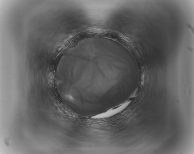 X0000102491397200808291639