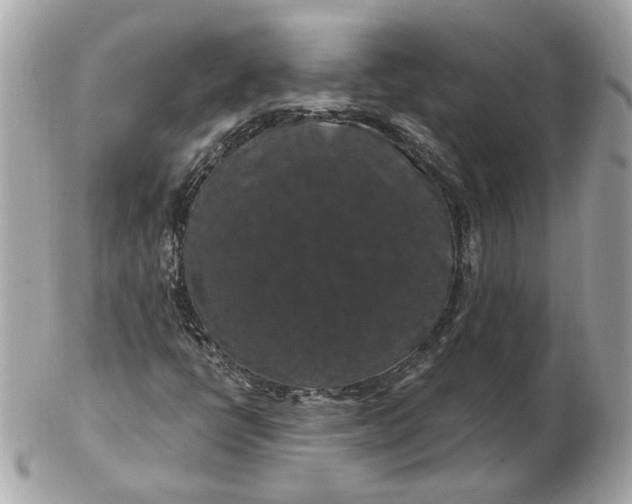 X0000102491398200808291639