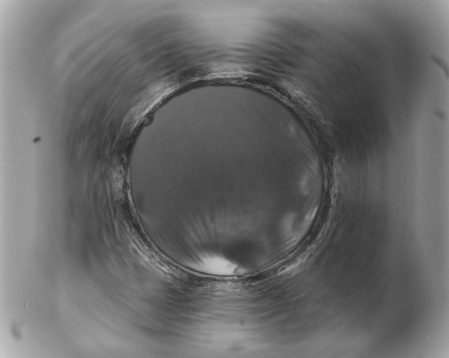 X0000102491401200808291639