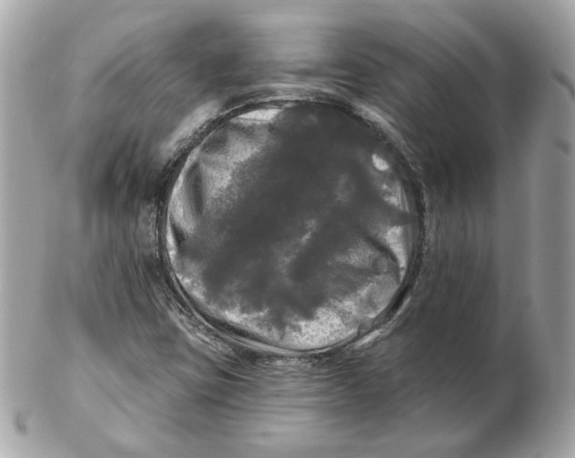 X0000102491403200808291639