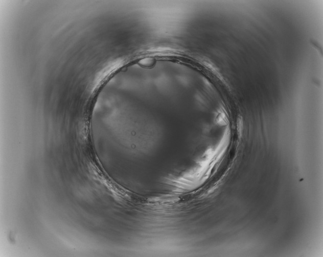 X0000102491405200808291639