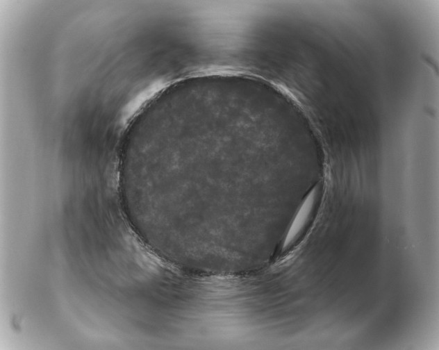 X0000102491406200808291639